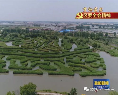 貫徹落實區委十四屆五次全會精神 大縱湖旅游度假區以項目快建設推動旅游產業蓬勃發展
